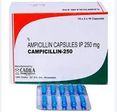 Campicilin-250-mg